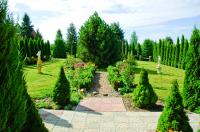 Аллея Туй у Домика Фермера на усадьбе Верес