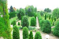 Вид на Аллею Туй с балкона Домика Фермера на усадьбе Верес