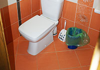 Санузел на усадьбе Верес