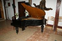 В Зале Охотника старинный рояль 1885 г. на усадьбе Верес